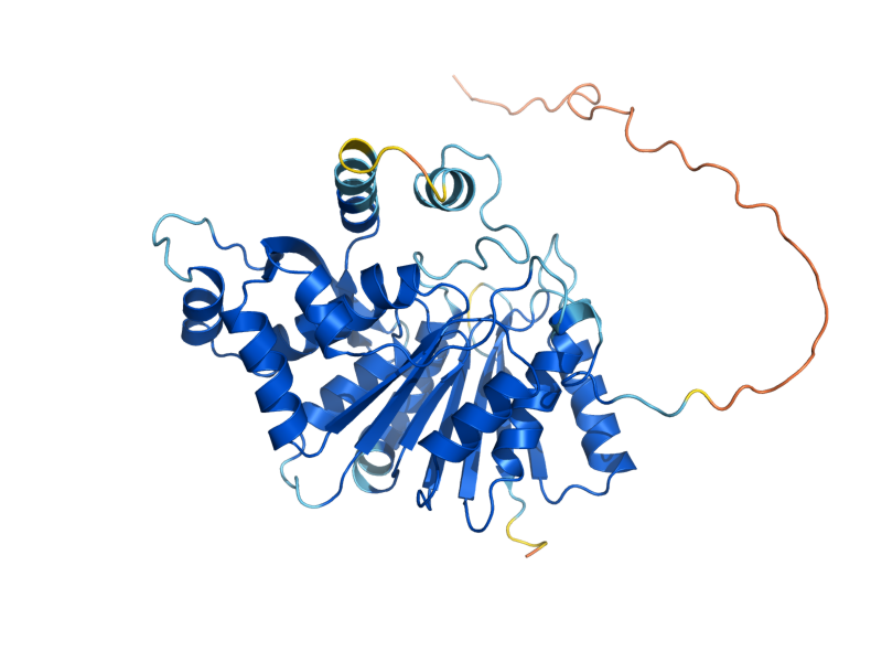 AlphaFold predicted structure of HPM1