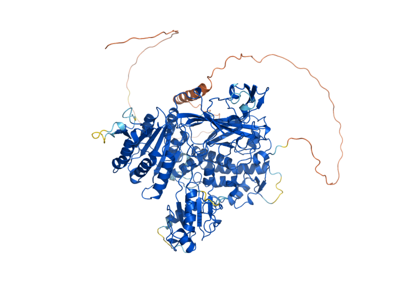 AlphaFold predicted structure of SEC24