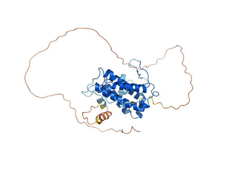 AlphaFold predicted structure of MOB1