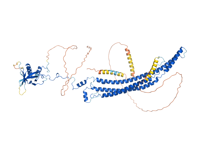 AlphaFold predicted structure of SLM1
