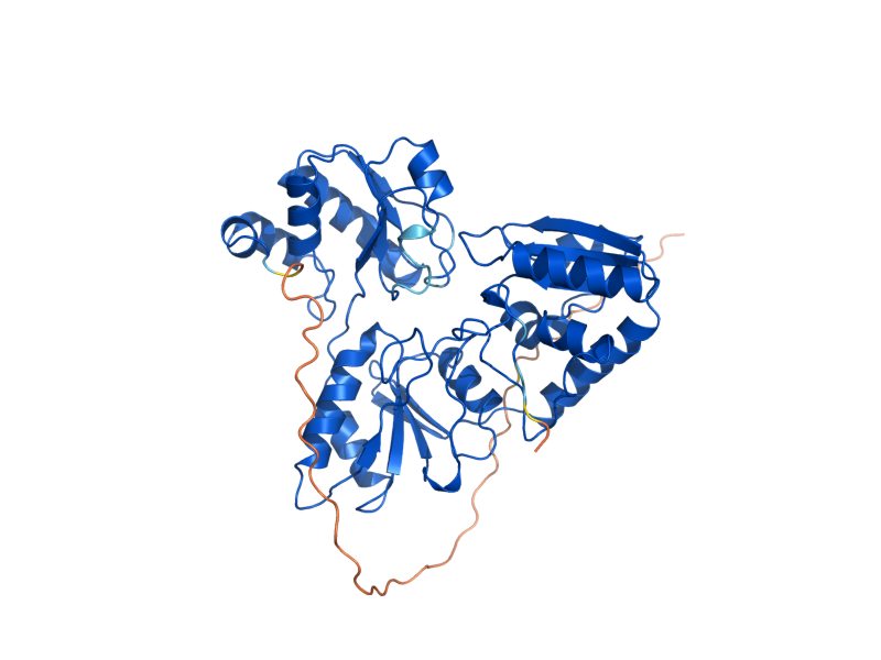 AlphaFold predicted structure of DPH1