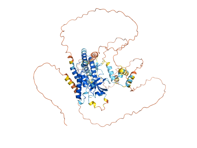 AlphaFold predicted structure of XBP1
