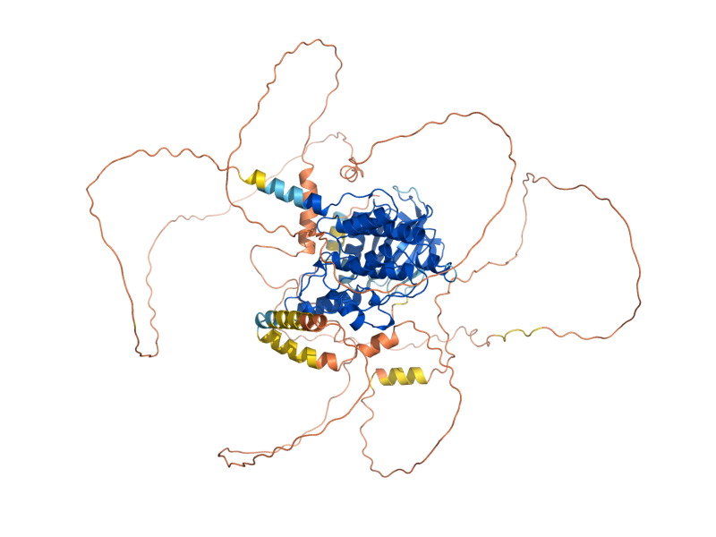 AlphaFold predicted structure of PRK1