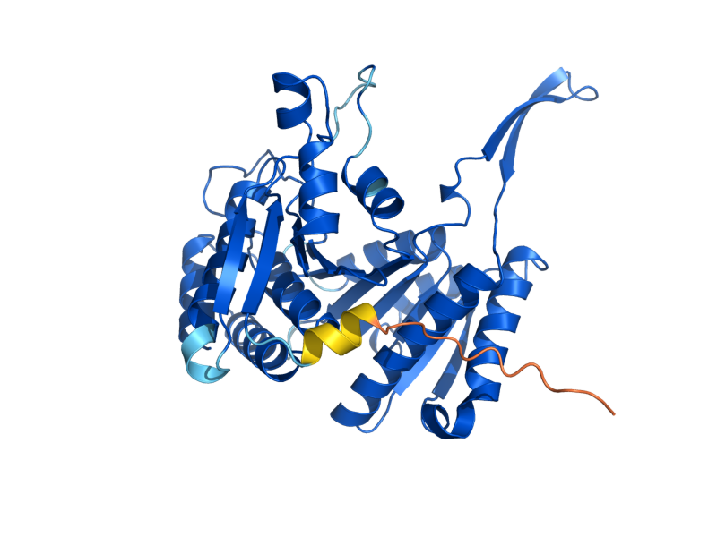 AlphaFold predicted structure of LYS12