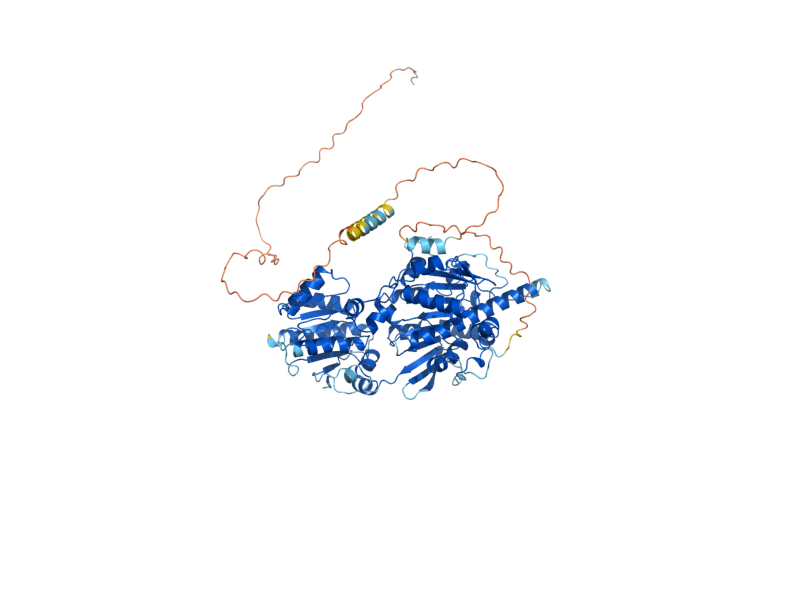 AlphaFold predicted structure of UTP25