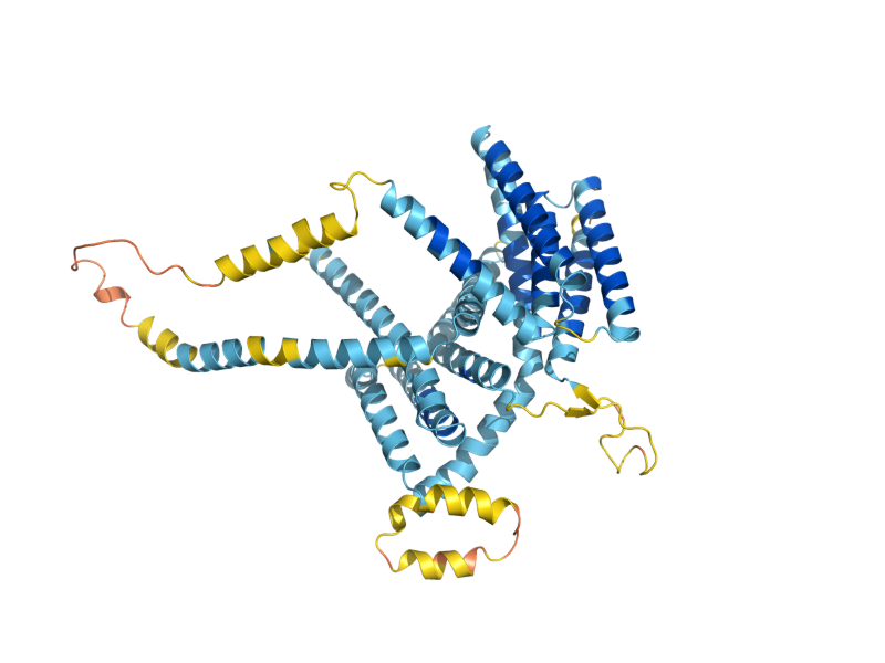 AlphaFold predicted structure of ICE2