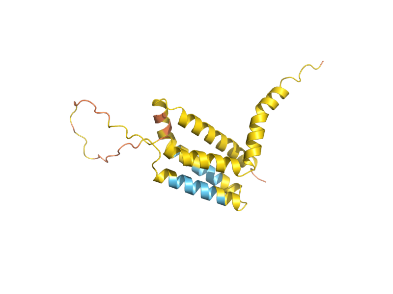 AlphaFold predicted structure of AIM19