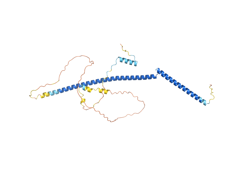 AlphaFold predicted structure of SDS3