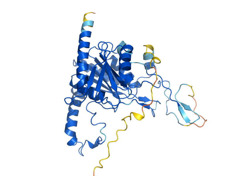 AlphaFold predicted structure of CAB2