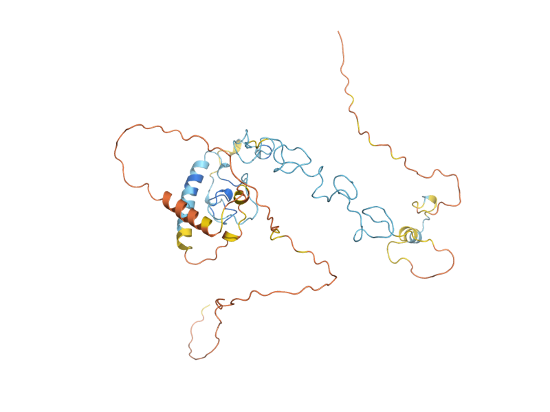 AlphaFold predicted structure of AIR1