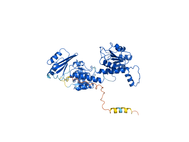 AlphaFold predicted structure of SER33