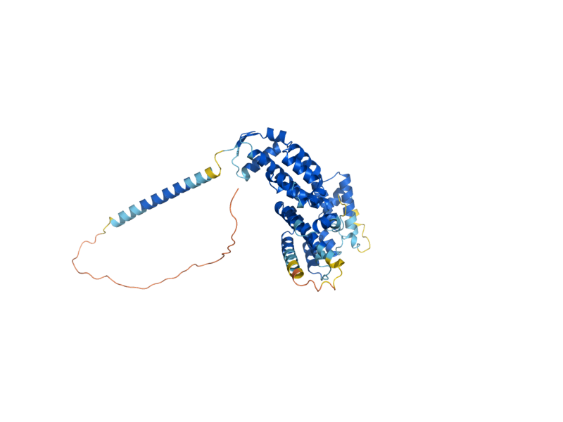 AlphaFold predicted structure of PCI8