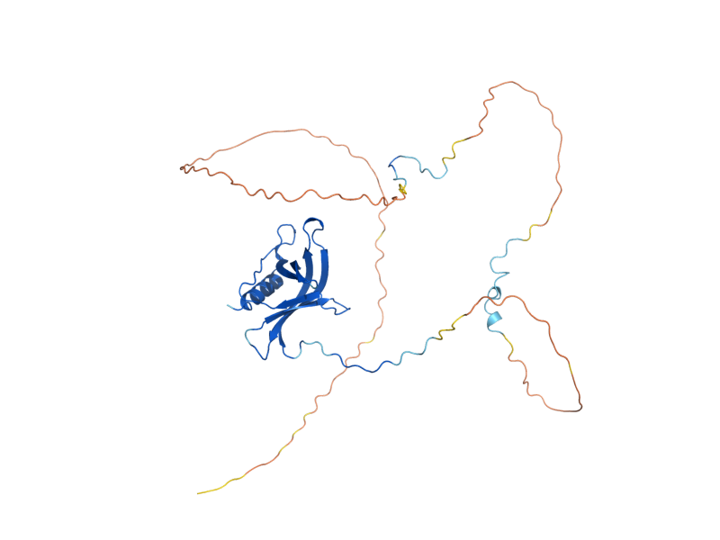 AlphaFold predicted structure of YRB2