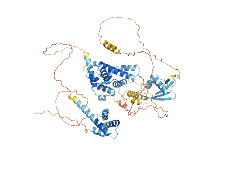 AlphaFold predicted structure of VHR1