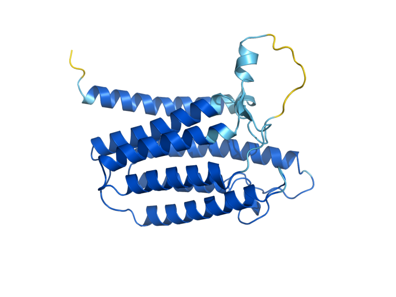 AlphaFold predicted structure of DFG10
