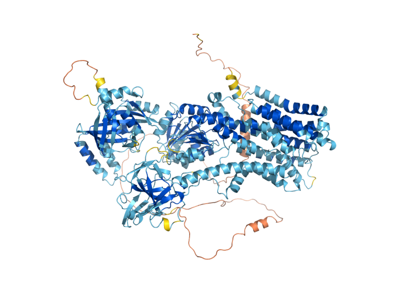 AlphaFold predicted structure of NEO1