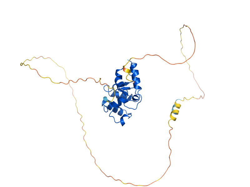 AlphaFold predicted structure of AGE2
