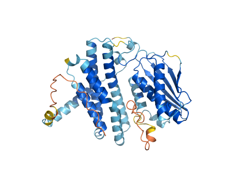 AlphaFold predicted structure of PKP1
