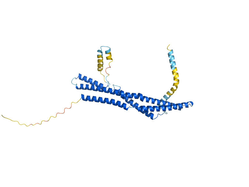 AlphaFold predicted structure of GVP36
