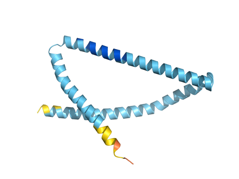 AlphaFold predicted structure of APQ12