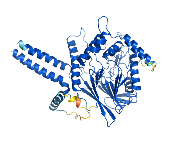 AlphaFold predicted structure of TED1