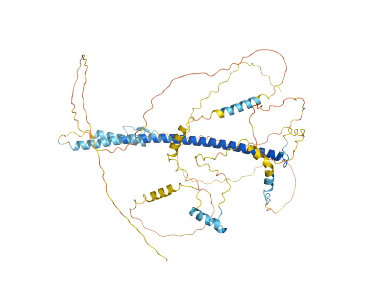 AlphaFold predicted structure of CST6