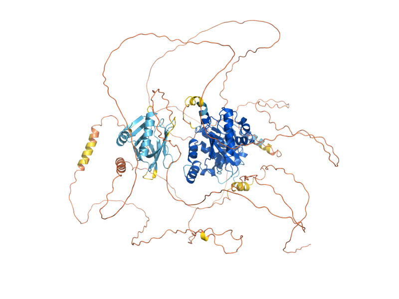 AlphaFold predicted structure of ULP2