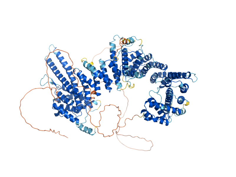 AlphaFold predicted structure of IRR1