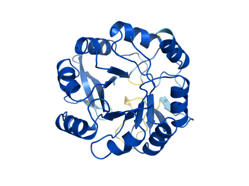 AlphaFold predicted structure of HIS6