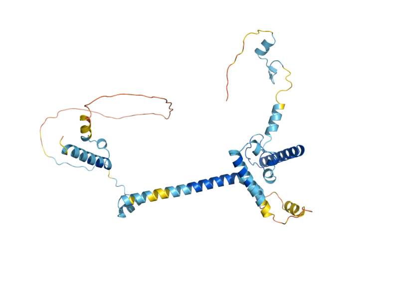 AlphaFold predicted structure of FAF1