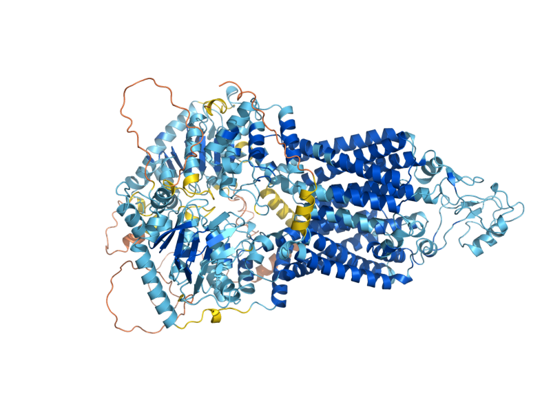 AlphaFold predicted structure of PDR11