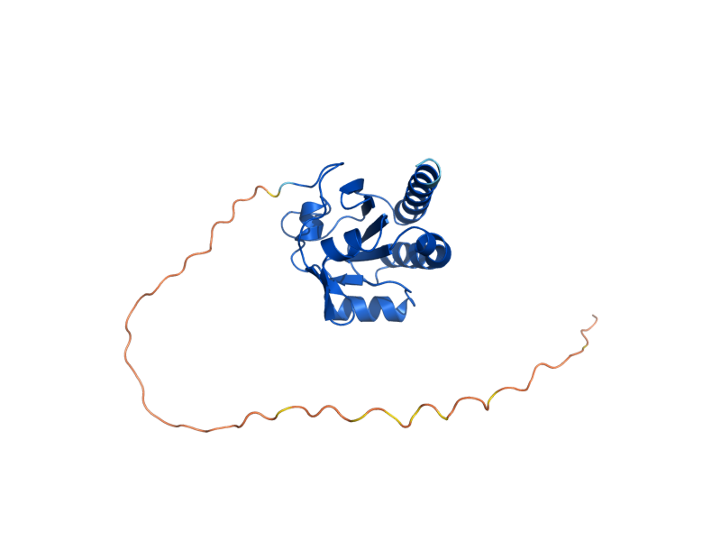 AlphaFold predicted structure of DOT5
