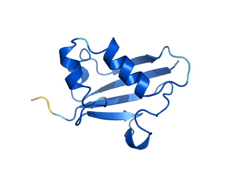 AlphaFold predicted structure of URM1