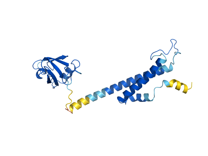 AlphaFold predicted structure of NAS2