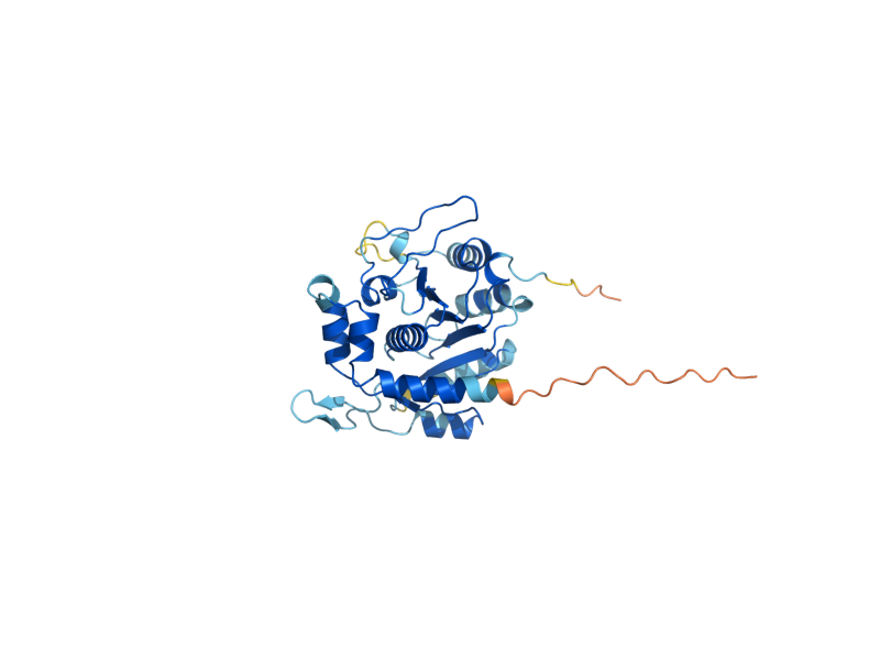 AlphaFold predicted structure of CFD1