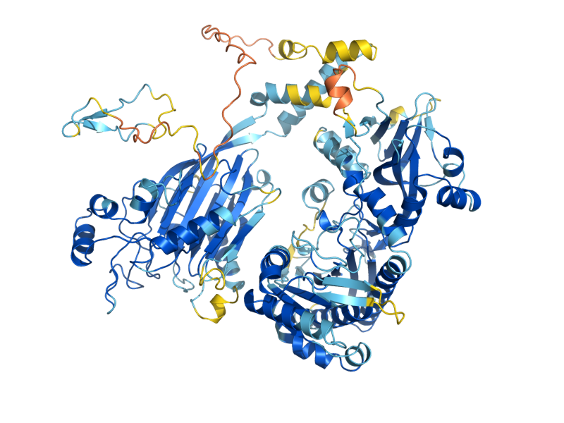 AlphaFold predicted structure of INP51