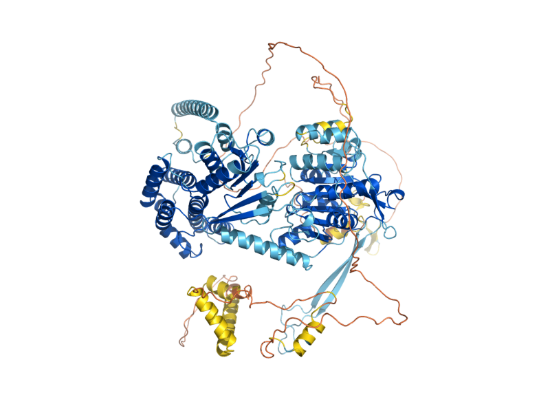 AlphaFold predicted structure of MPH1