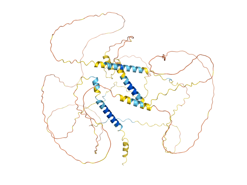 AlphaFold predicted structure of AIM21