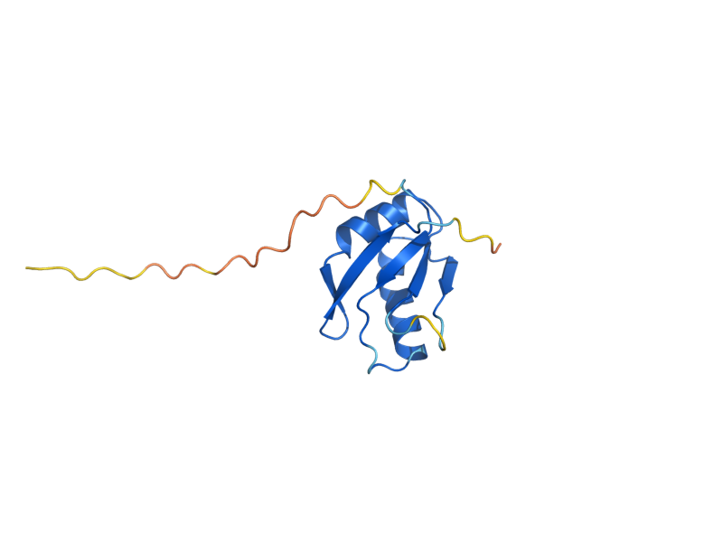 AlphaFold predicted structure of MSL1