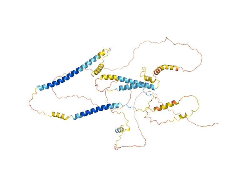 AlphaFold predicted structure of DSN1