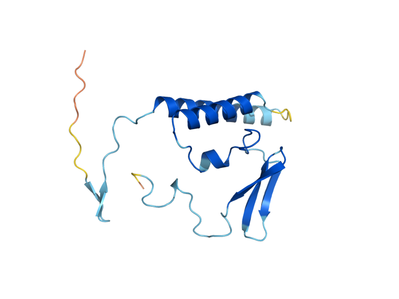 AlphaFold predicted structure of RPR2