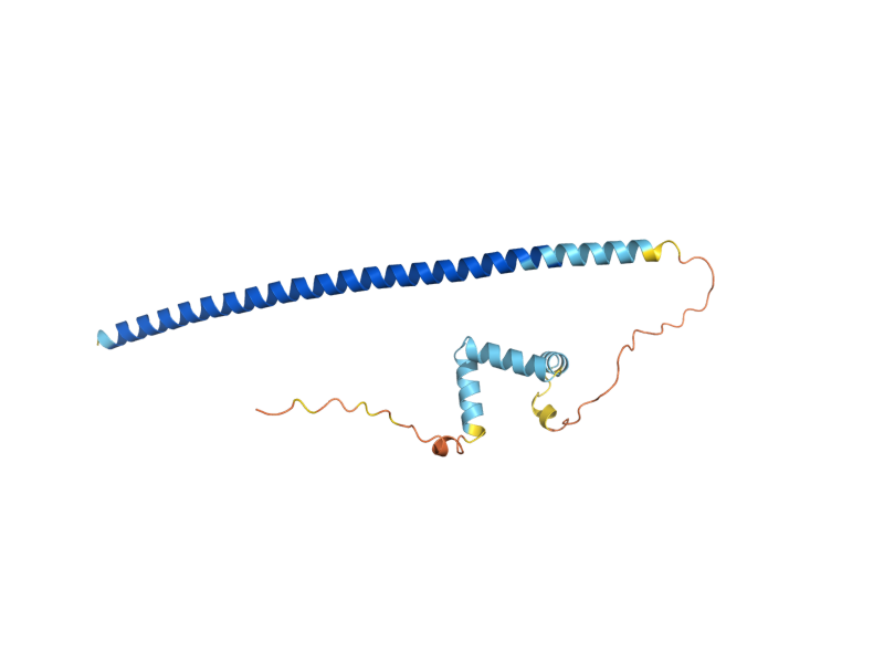 AlphaFold predicted structure of MET28