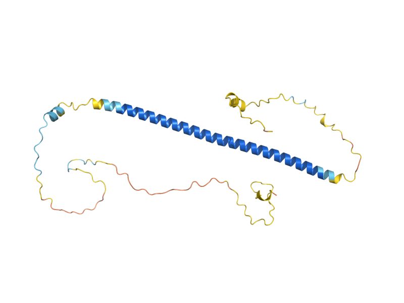 AlphaFold predicted structure of YAP5