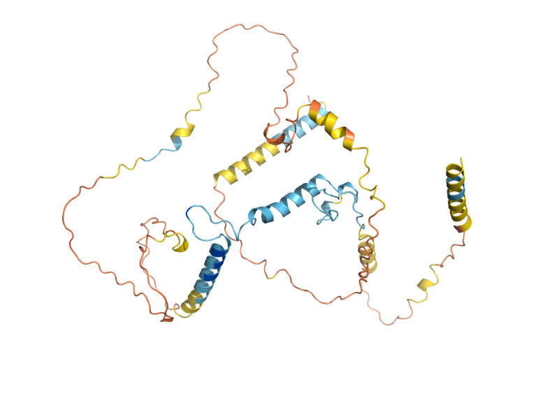 AlphaFold predicted structure of MND2