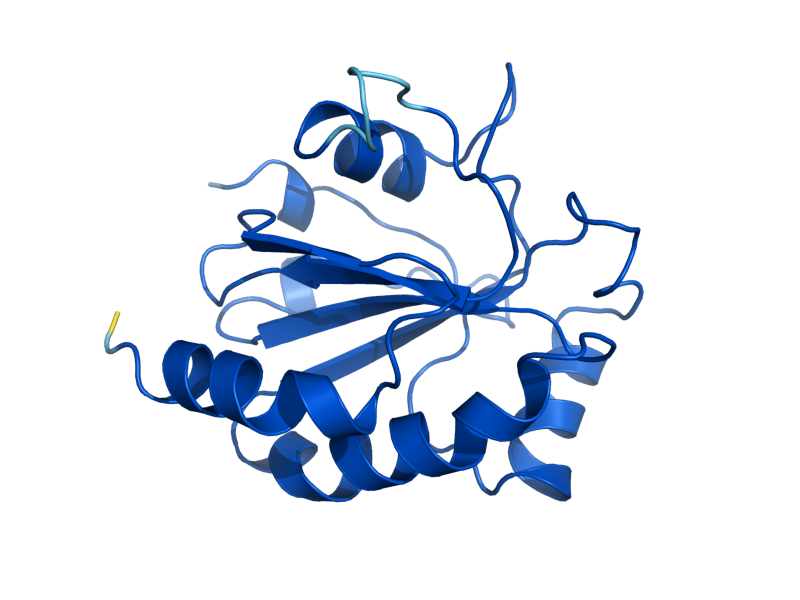 AlphaFold predicted structure of HYR1