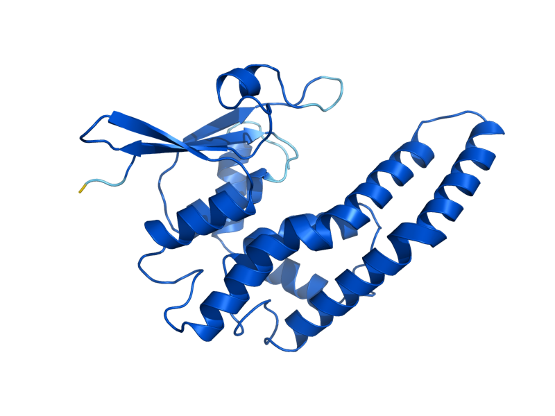 AlphaFold predicted structure of GTT1