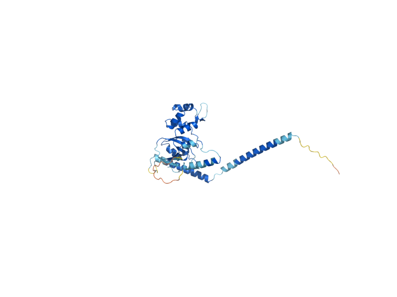 AlphaFold predicted structure of RLP7