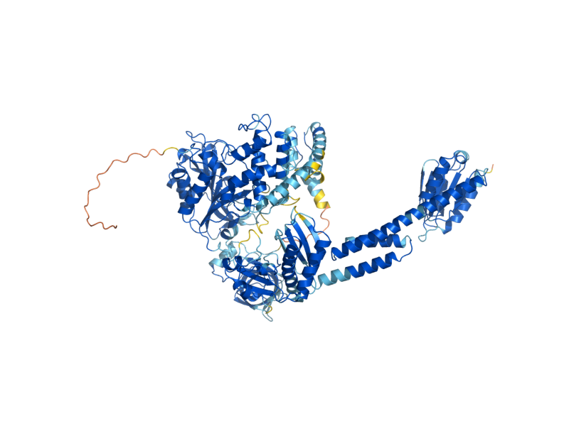 AlphaFold predicted structure of ALA1