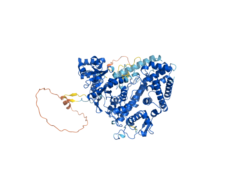 AlphaFold predicted structure of MKT1