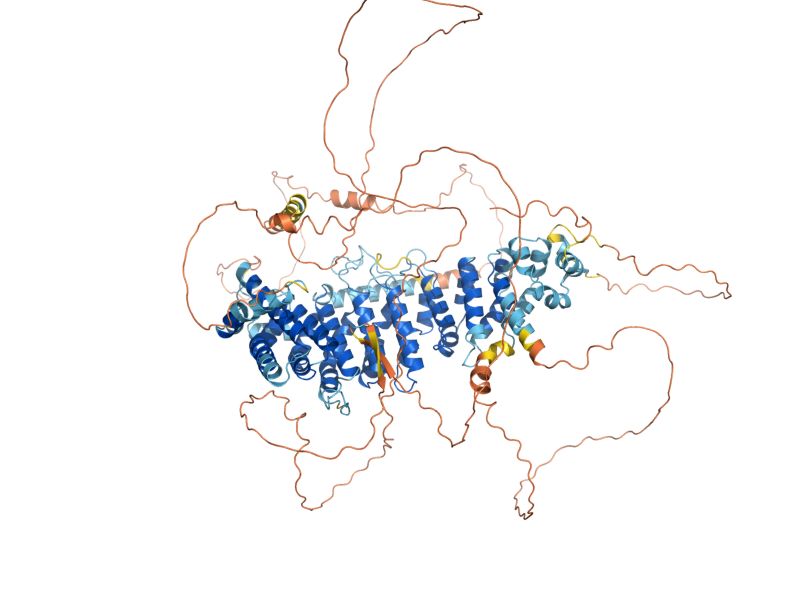 AlphaFold predicted structure of SAP185